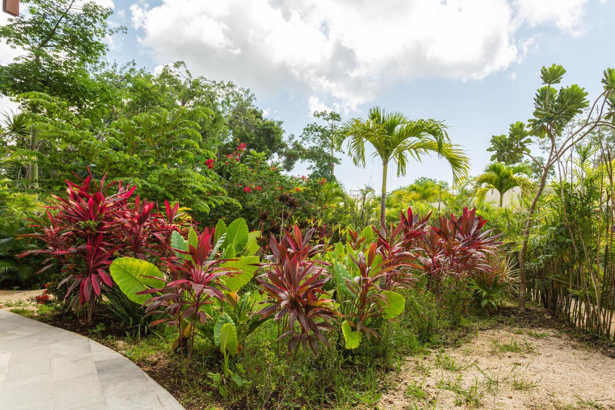 Appartamento Mistiq Gardens Tulum Camera foto