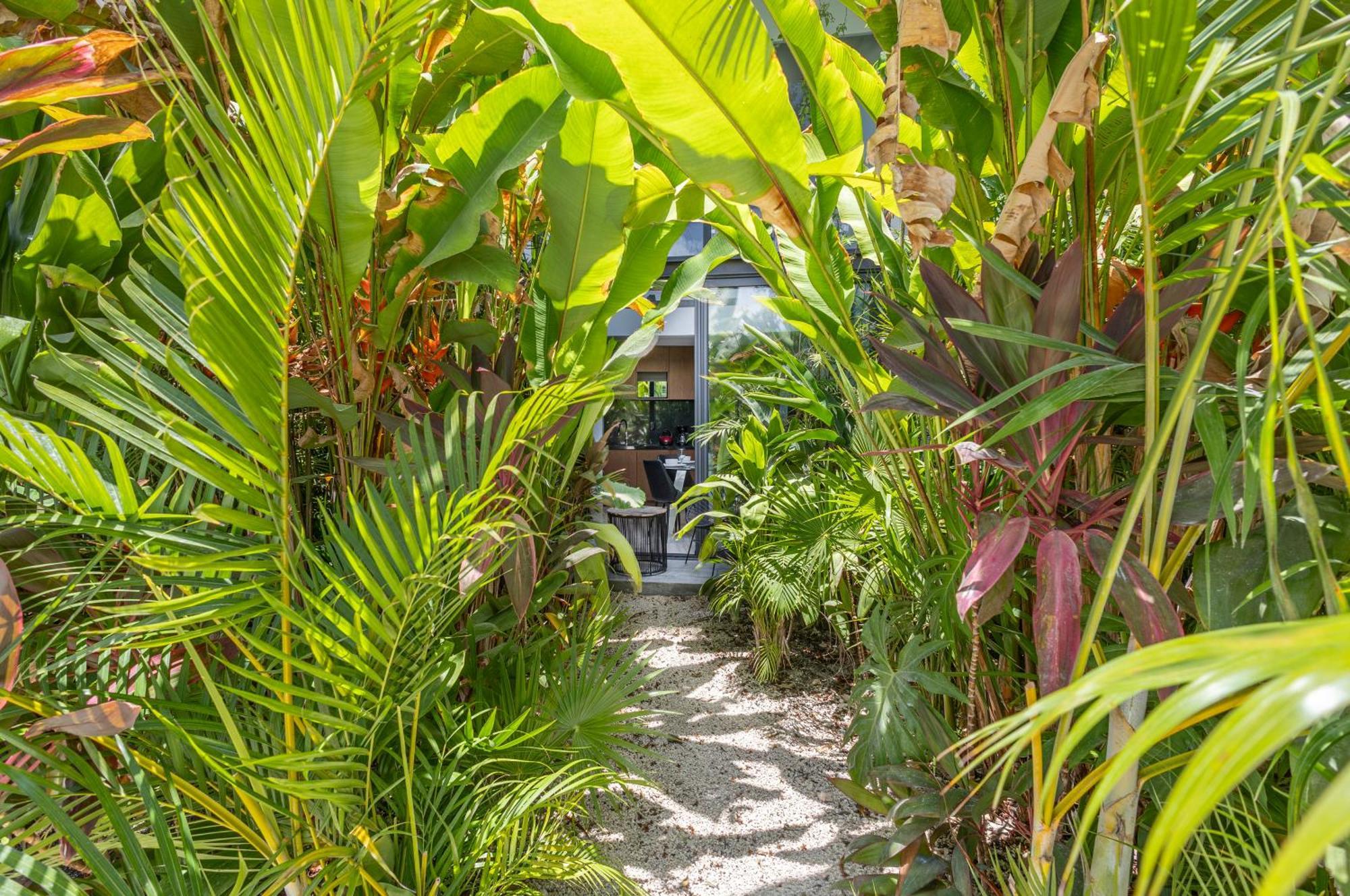Appartamento Mistiq Gardens Tulum Esterno foto